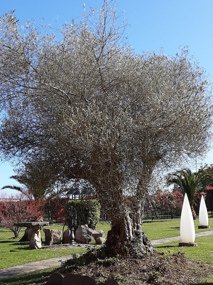 Marques De La Moral Hotel